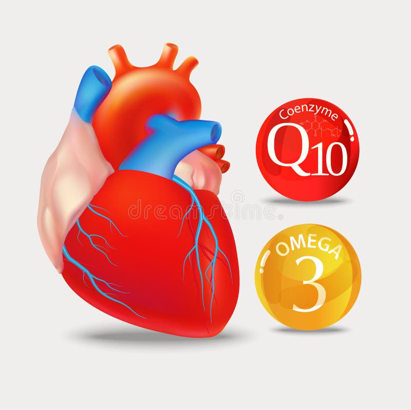 Коэнзим Q10 и Омега-3: комплексная поддержка здоровья организма